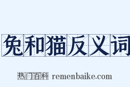 兔和猫反义词是什么意思的图片